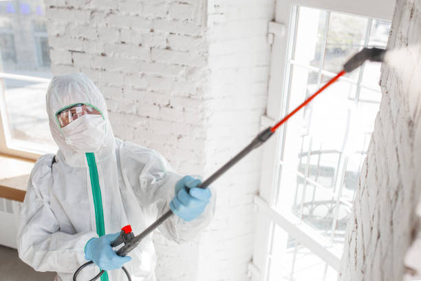 Best Forensic Mold Investigation  in Montrose, CO