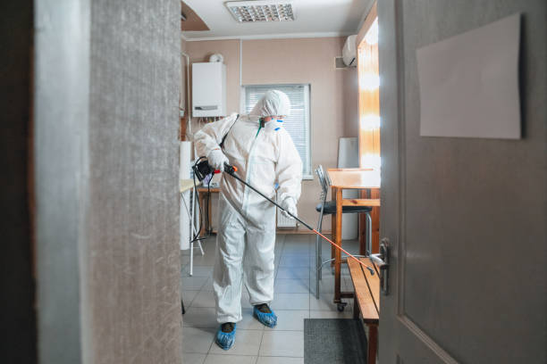 Best Biohazard Mold Removal  in Montrose, CO