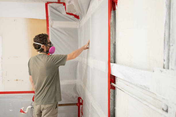 Best Mold Removal for HVAC Installations  in Montrose, CO
