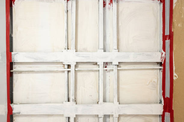 Best Post-Construction Mold Inspection  in Montrose, CO
