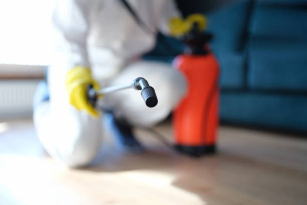 Best Comprehensive Air Testing for Mold Contaminants  in Montrose, CO