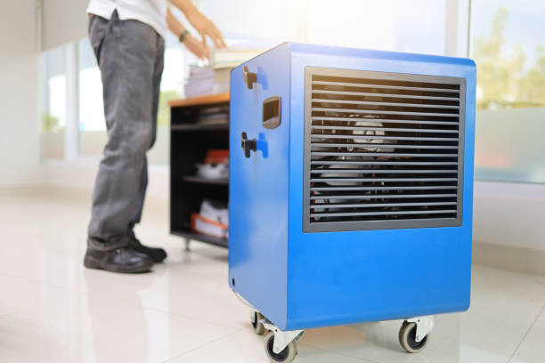 Best Indoor Air Quality Assessment  in Montrose, CO