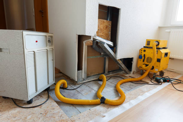 Dehumidification Services in Montrose, CO