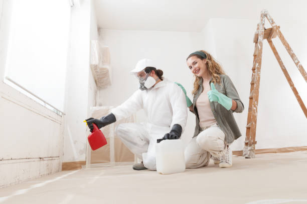 Best Crawl Space Mold Remediation  in Montrose, CO